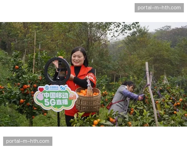 基于地理位置的定向推送在本季成熟 这种分发极大提升了属地化广告价值